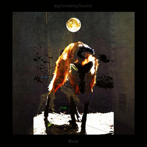 黑客家庭破解1000部
